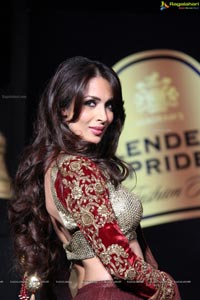 Blenders Pride Fashion Tour 2013 (Day 1)