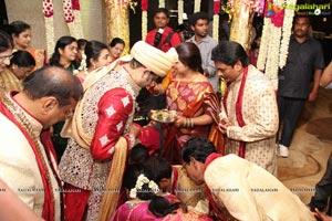 Haresh-Suzane Wedding Photos