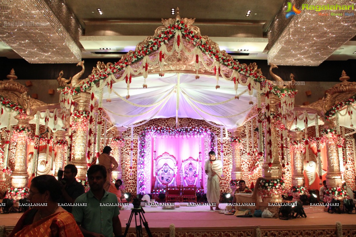 Haresh-Suzane Wedding at Banjara Green, Hyderabad