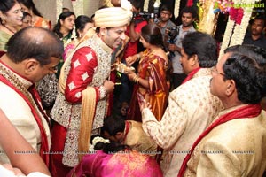 Haresh-Suzane Wedding Photos