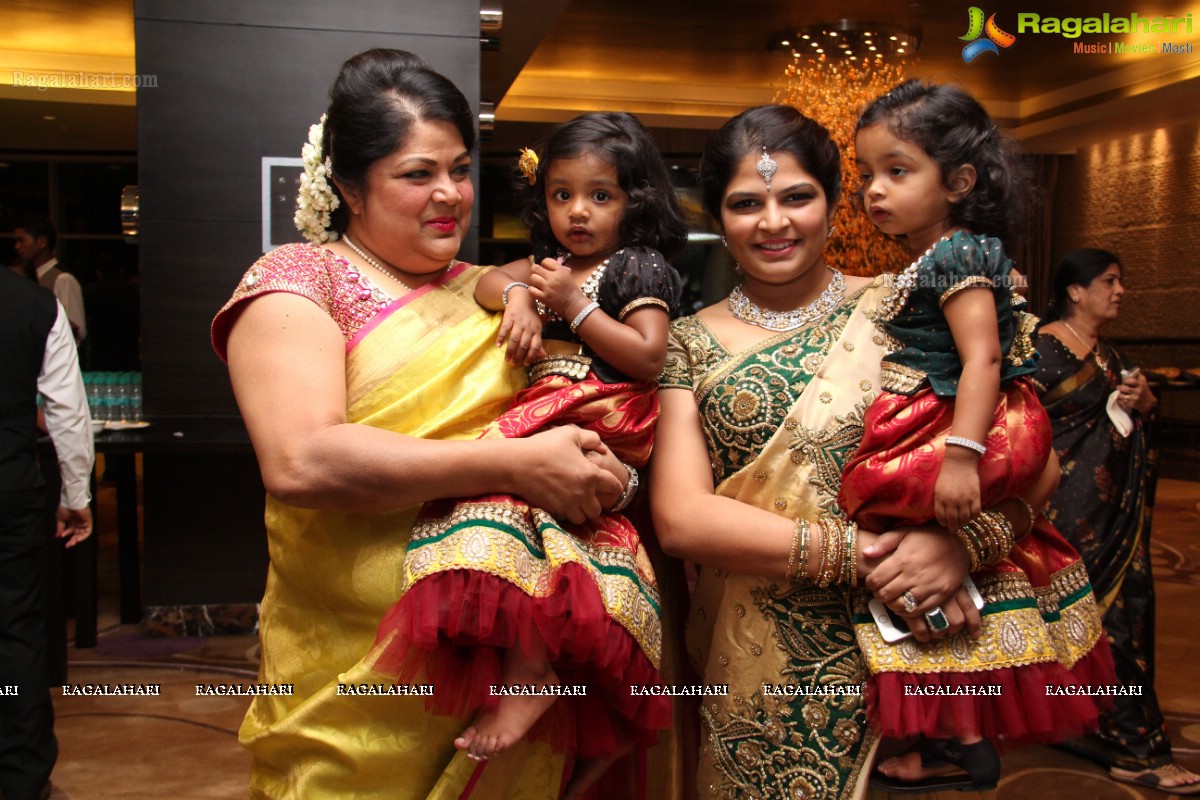 Haresh-Suzane Wedding at Banjara Green, Hyderabad