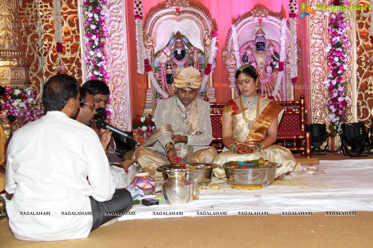 Haresh-Suzane Wedding at Banjara Green, Hyderabad