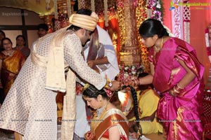 Haresh-Suzane Wedding Photos