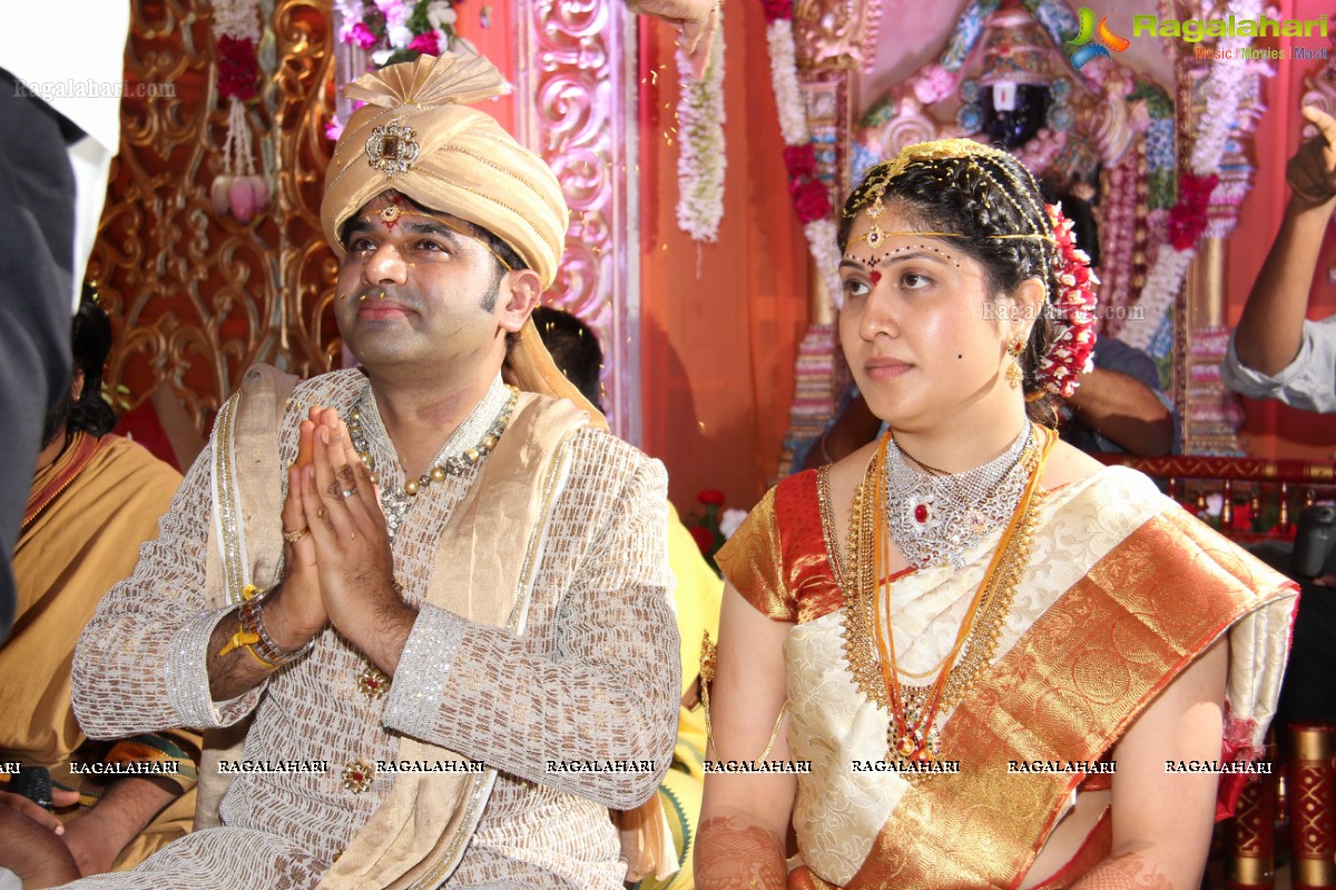 Haresh-Suzane Wedding at Banjara Green, Hyderabad