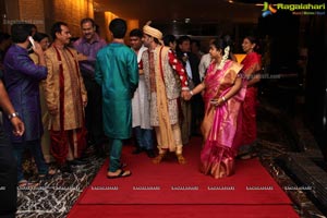 Haresh-Suzane Wedding Photos