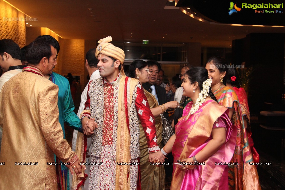 Haresh-Suzane Wedding at Banjara Green, Hyderabad