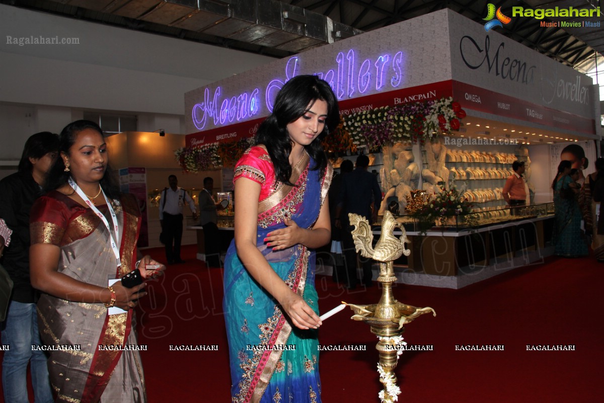 HITEX Gems Jewellery Exposition 2013