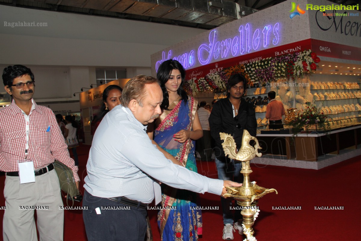 HITEX Gems Jewellery Exposition 2013