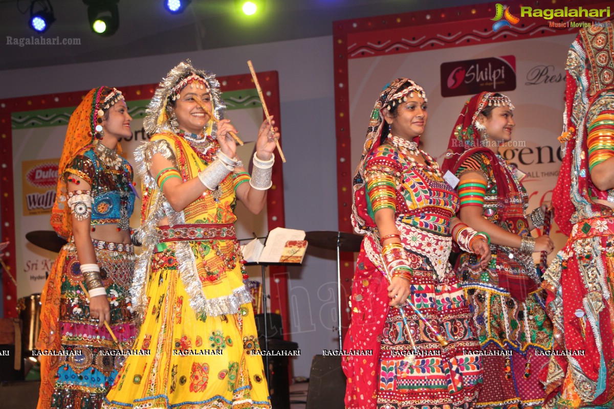 Legend Navratri Utsav 2013 Grand Finale - Judge: Bina Mehta