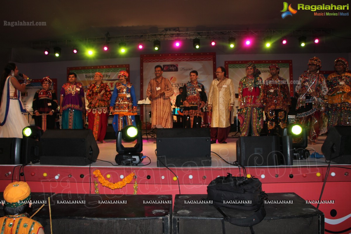 Legend Navratri Utsav 2013 Grand Finale - Judge: Bina Mehta