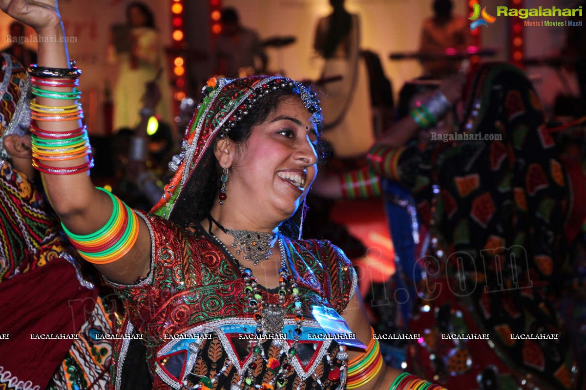 Legend Navratri Utsav 2013 Grand Finale - Judge: Bina Mehta