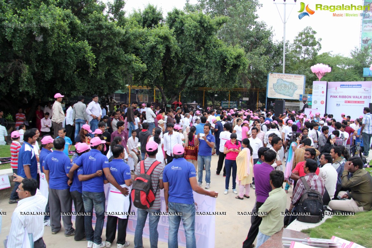 Pink Ribbon Walk 2013 by Ushalakshmi Breast Cancer Foundation at KBR Park, Hyderabad