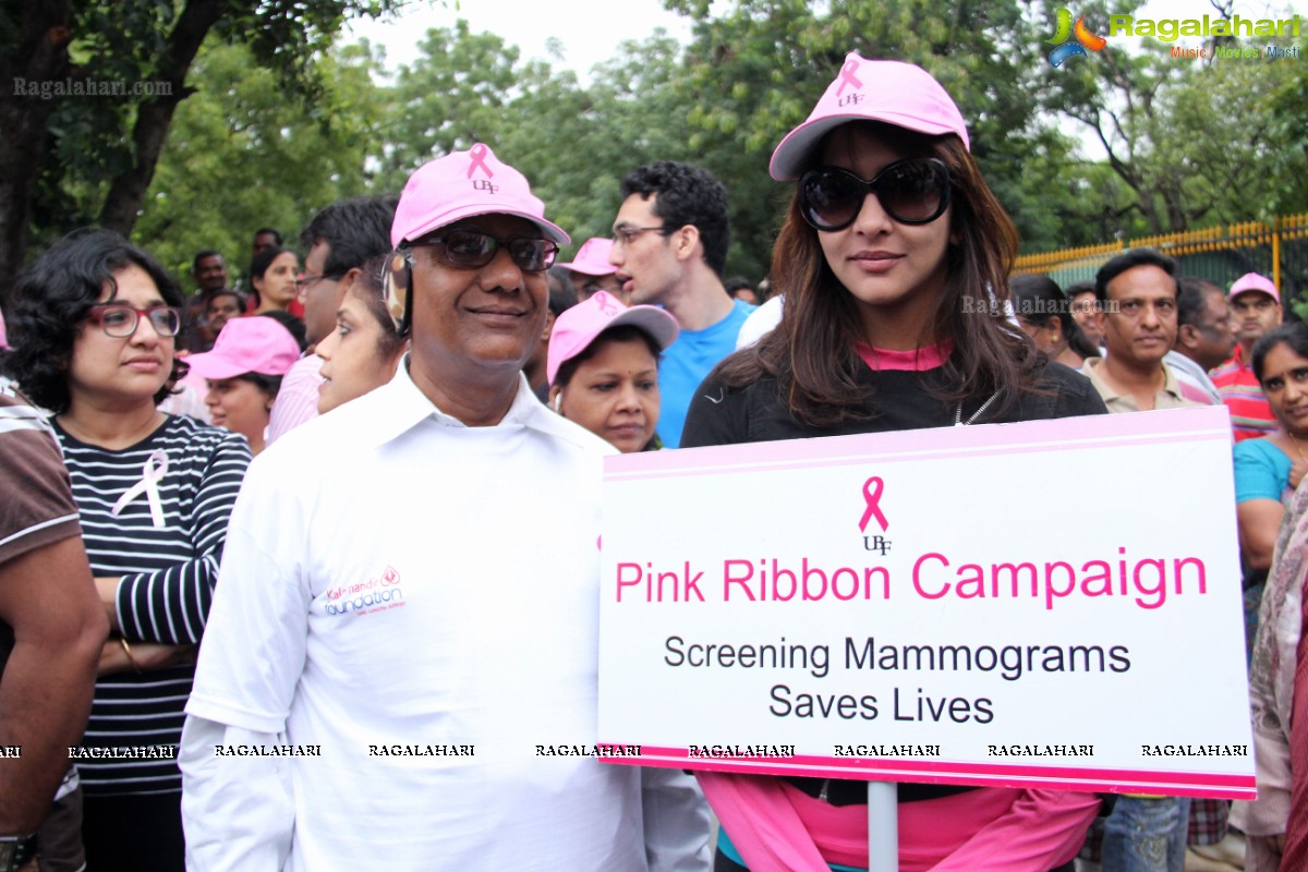 Pink Ribbon Walk 2013 by Ushalakshmi Breast Cancer Foundation at KBR Park, Hyderabad