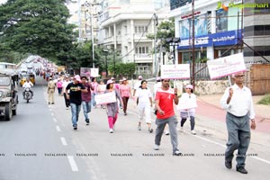 Pink Ribbon Walk 2013 Photos