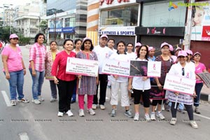 Pink Ribbon Walk 2013 Photos