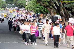 Pink Ribbon Walk 2013 Photos