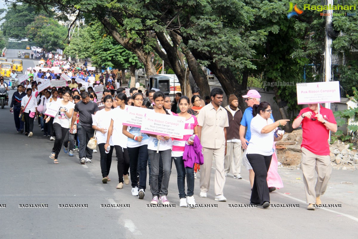 Pink Ribbon Walk 2013 by Ushalakshmi Breast Cancer Foundation at KBR Park, Hyderabad