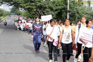 Pink Ribbon Walk 2013 Photos