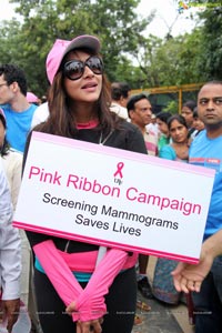 Pink Ribbon Walk 2013 Photos