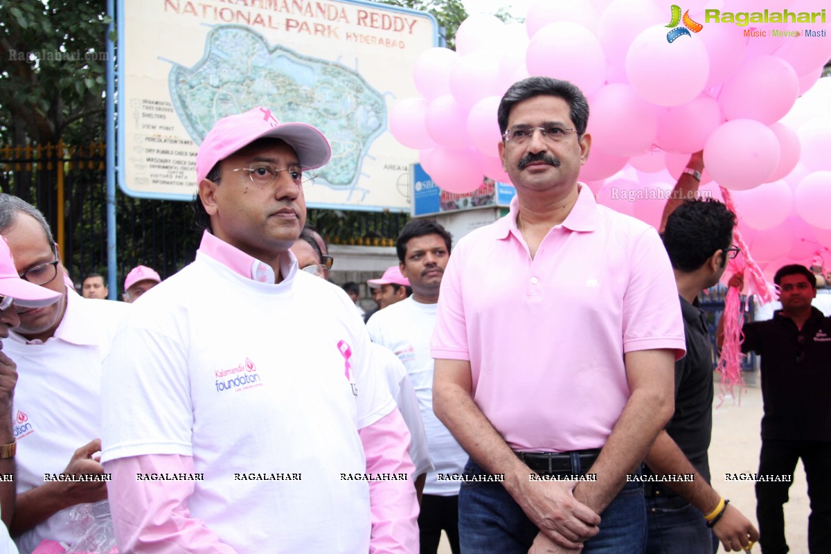 Pink Ribbon Walk 2013 by Ushalakshmi Breast Cancer Foundation at KBR Park, Hyderabad