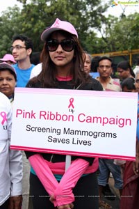 Pink Ribbon Walk 2013 Photos