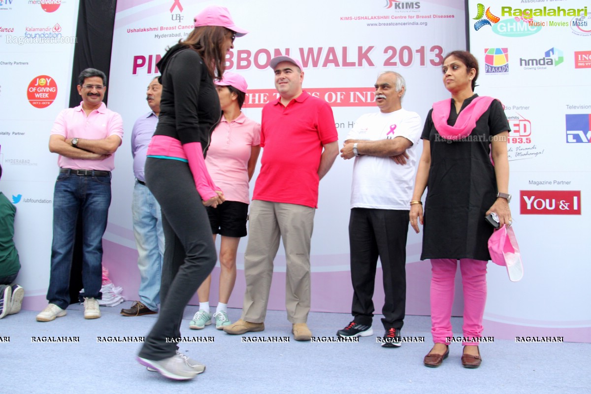 Pink Ribbon Walk 2013 by Ushalakshmi Breast Cancer Foundation at KBR Park, Hyderabad