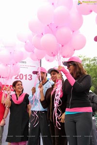 Pink Ribbon Walk 2013 Photos