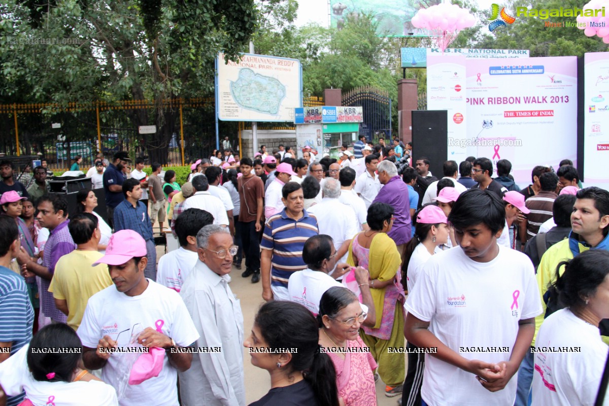 Pink Ribbon Walk 2013 by Ushalakshmi Breast Cancer Foundation at KBR Park, Hyderabad