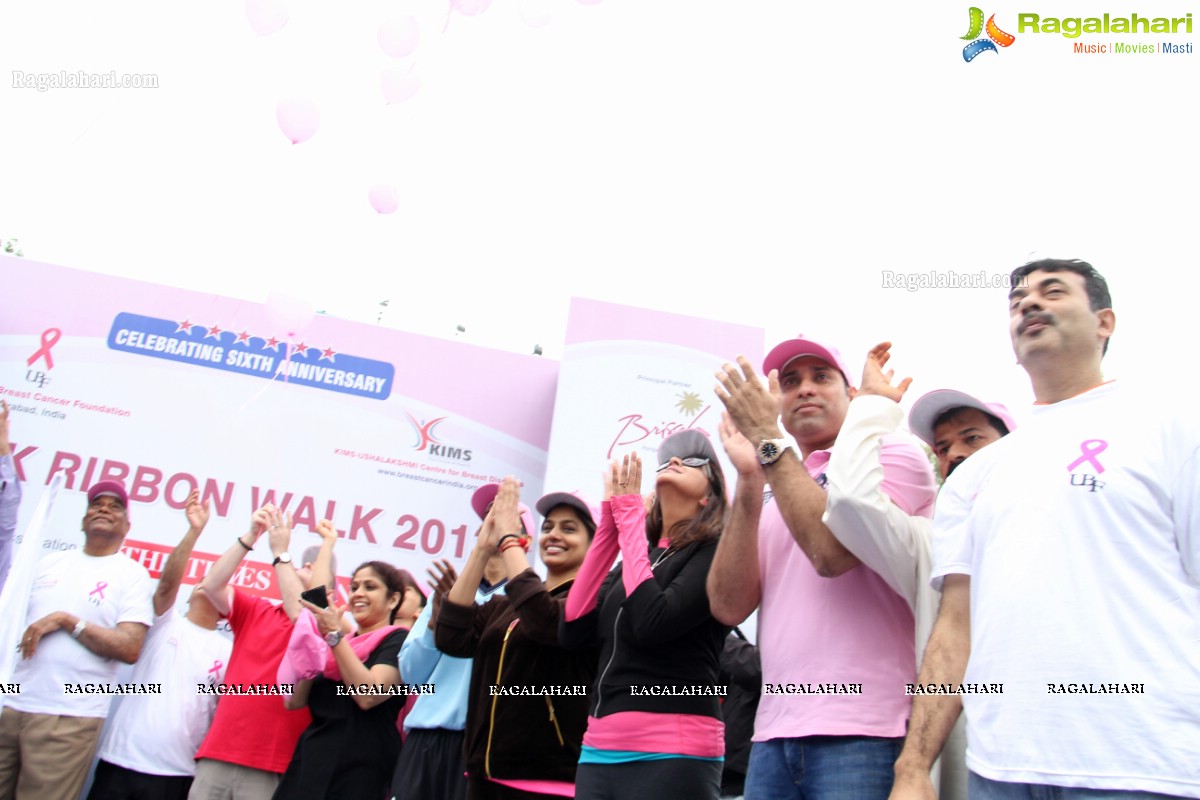 Pink Ribbon Walk 2013 by Ushalakshmi Breast Cancer Foundation at KBR Park, Hyderabad