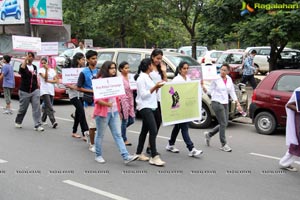 Pink Ribbon Walk 2013 Photos