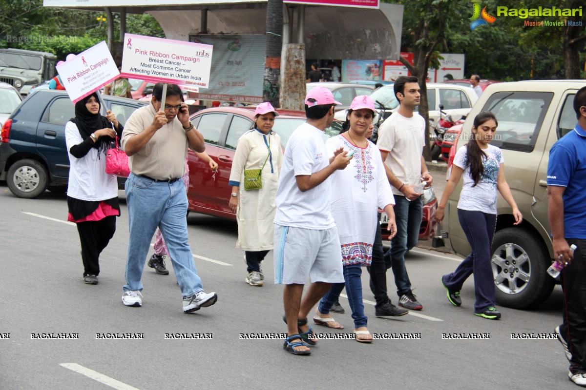 Pink Ribbon Walk 2013 by Ushalakshmi Breast Cancer Foundation at KBR Park, Hyderabad