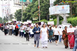 Pink Ribbon Walk 2013 Photos