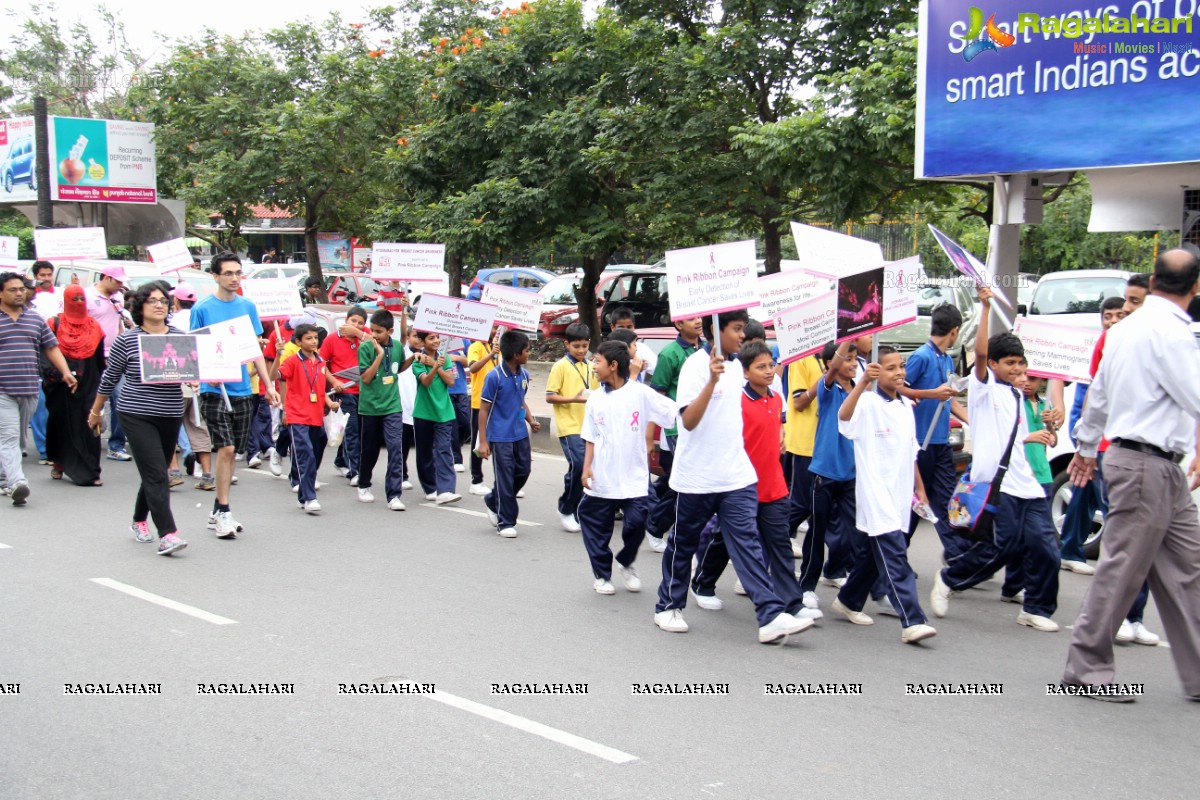 Pink Ribbon Walk 2013 by Ushalakshmi Breast Cancer Foundation at KBR Park, Hyderabad