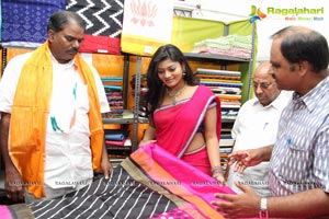 Pochampally IKAT Art Mela Secunderabad