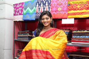 Pochampally IKAT Art Mela Secunderabad