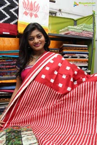 Pochampally IKAT Art Mela Secunderabad