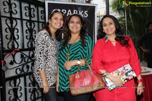 Sparks N Sizzles Launch