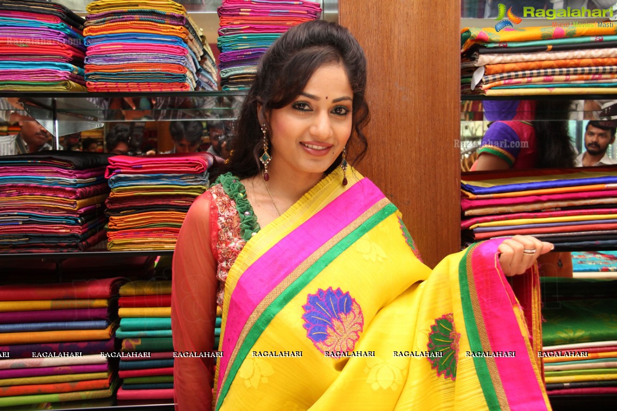 Sreeja Fashions South Silk Festival 2013, Hyderabad
