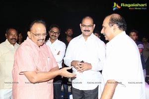 Gayakudu Audio Release