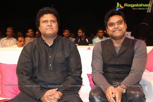 Gayakudu Audio Release