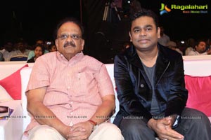 Gayakudu Audio Release