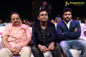 Gayakudu Audio Release