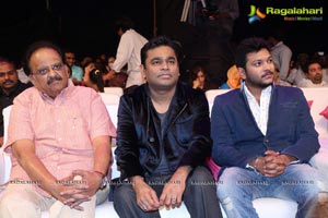 Gayakudu Audio Release