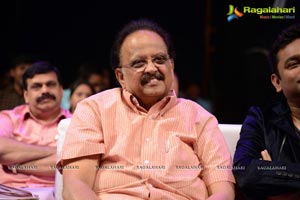 Gayakudu Audio Release