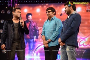 Gayakudu Audio Release