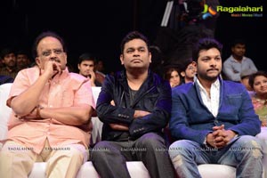 Gayakudu Audio Release