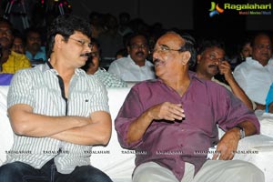 Joru Audio Release