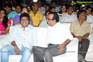 Joru Audio Release