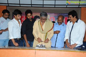 Karthikeya Success Meet