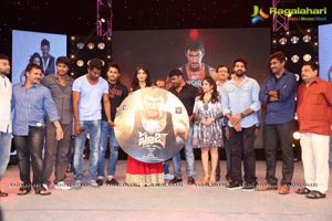 Pooja Audio Release